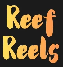 Reef Reels Casino Australia